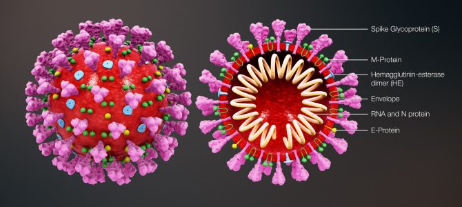 Covid-19 Virus Update May 13, 2020