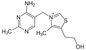 Thiamine – Vitamin B1 Dr. Mobeen Sayed